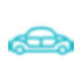 Apple icon