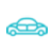 Apple icon