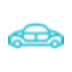 Apple icon